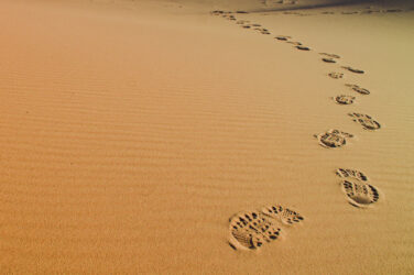 deserto libia shuttelstock